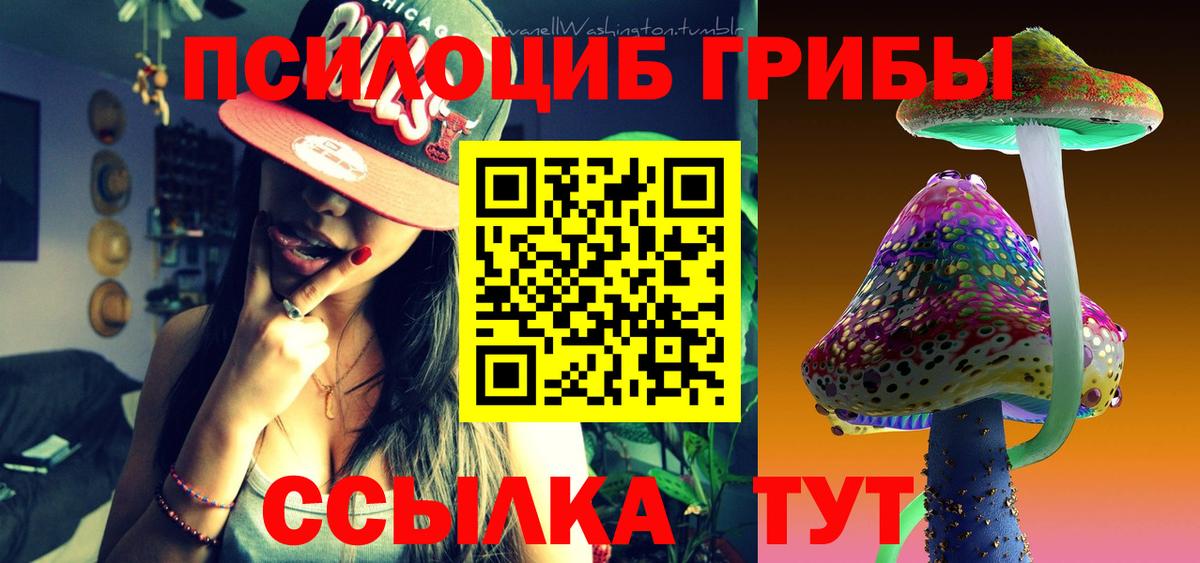 Галлюциногенные грибы ЛСД Дальнегорск