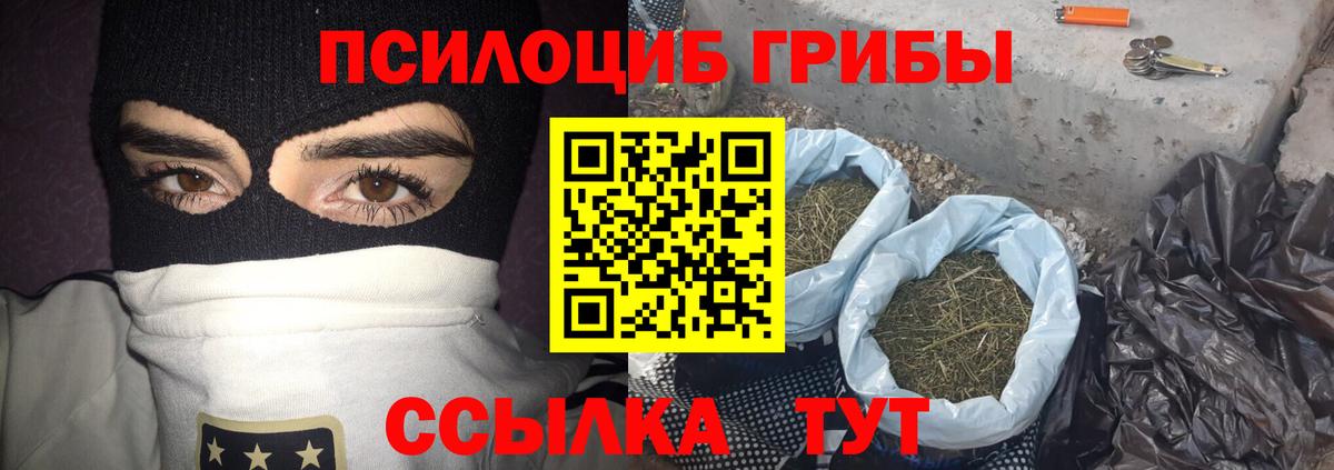 Дальнегорск  Галлюциногенные грибы прущие грибы  Вход с VPN  Галлюциногенные грибы ЛСД 